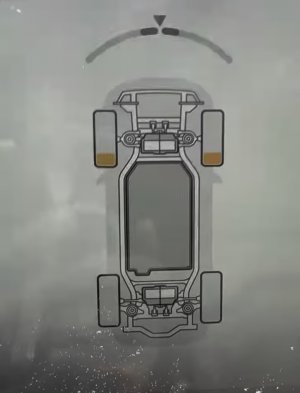 1000024995.jpg
